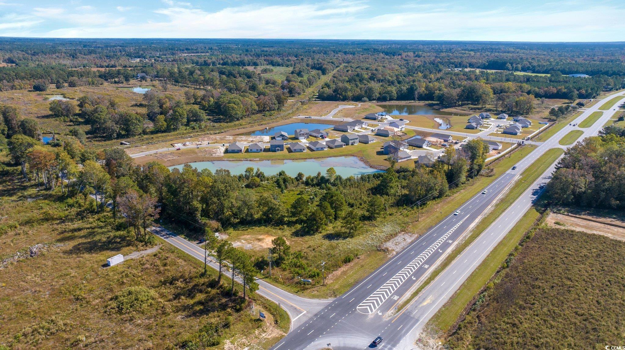 Camp Swamp Road Longs, SC 29568 - Photo 7 of 19