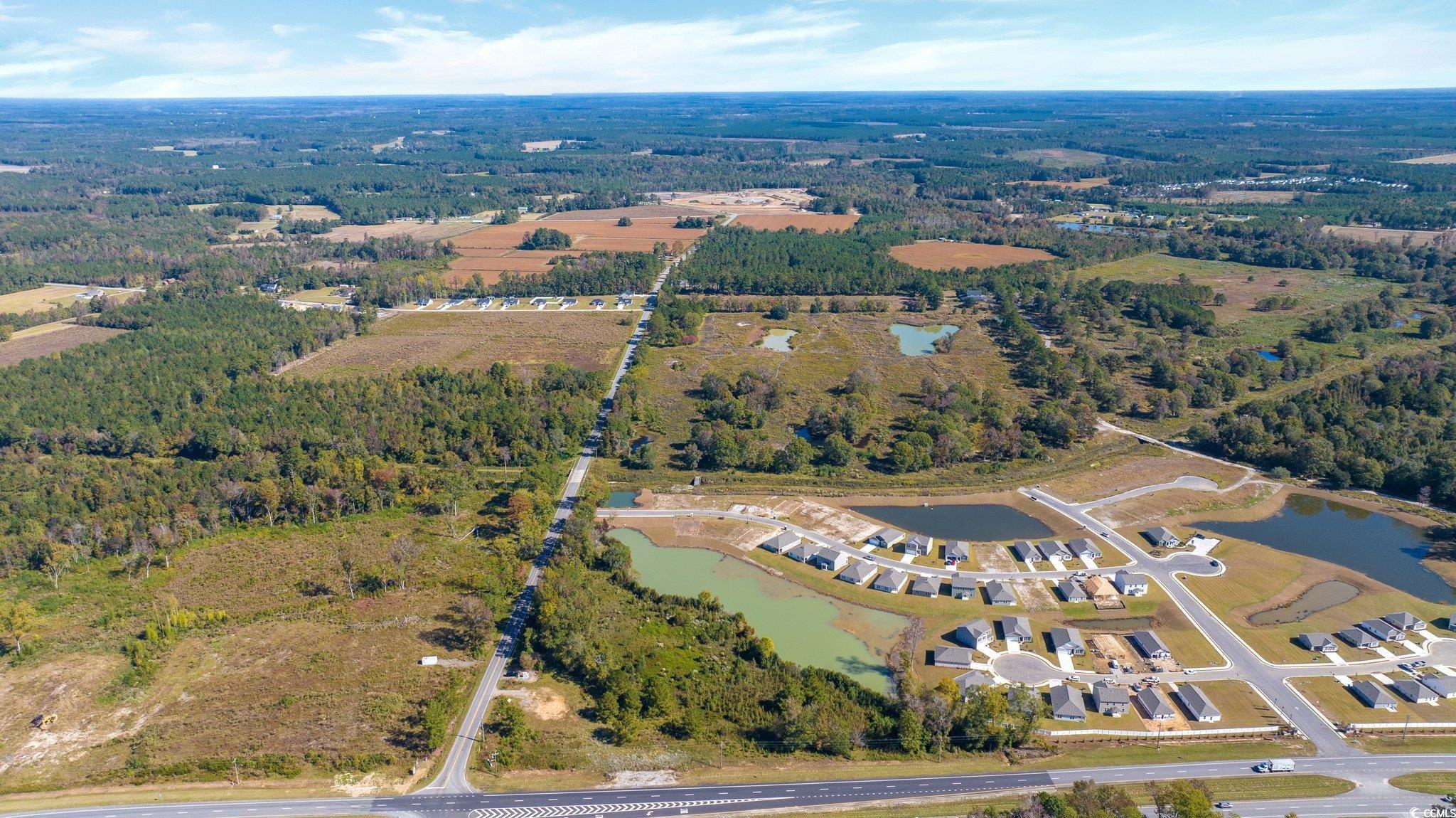 Camp Swamp Road Longs, SC 29568 - Photo 8 of 19