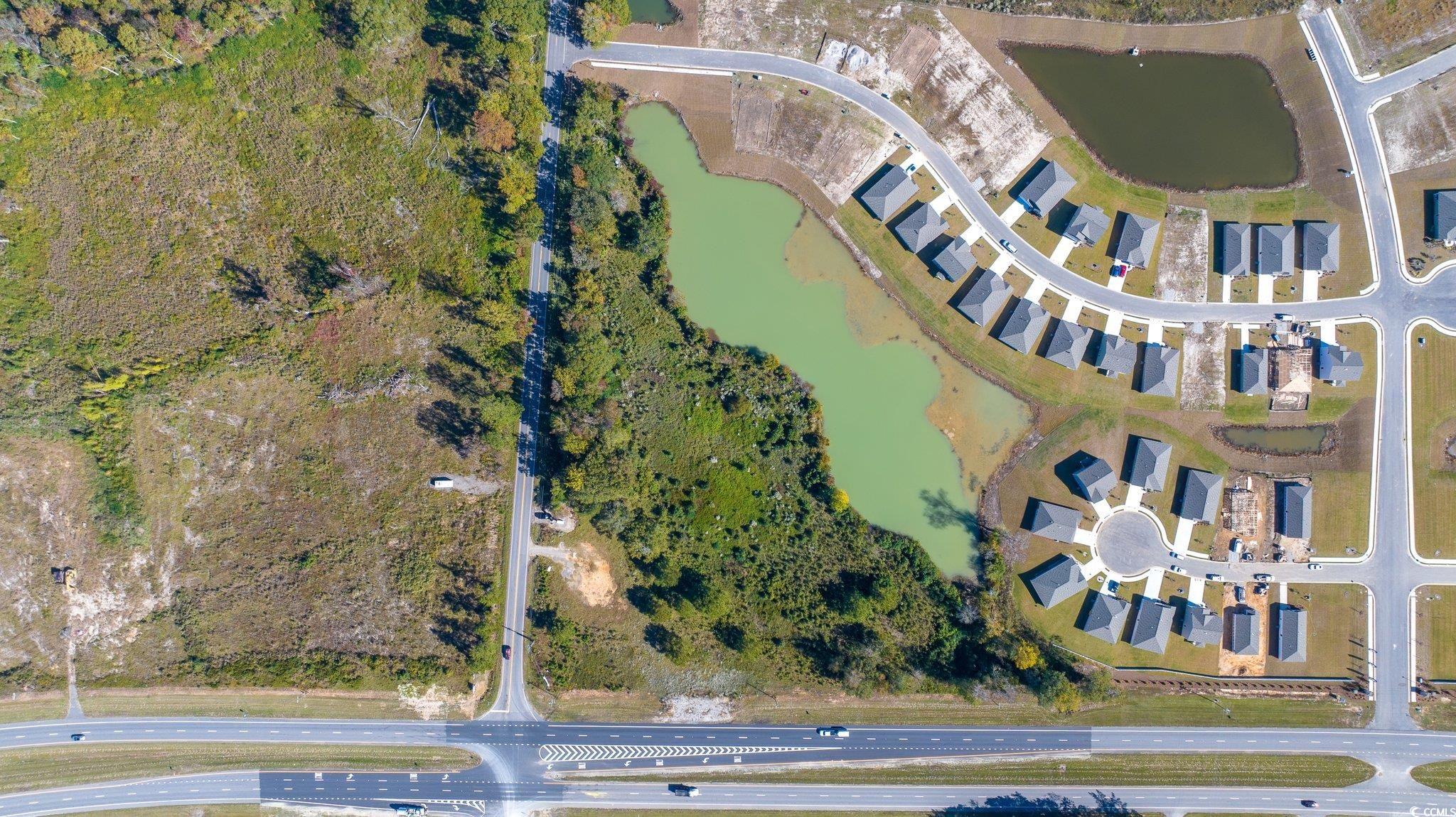 Camp Swamp Road Longs, SC 29568 - Photo 9 of 19