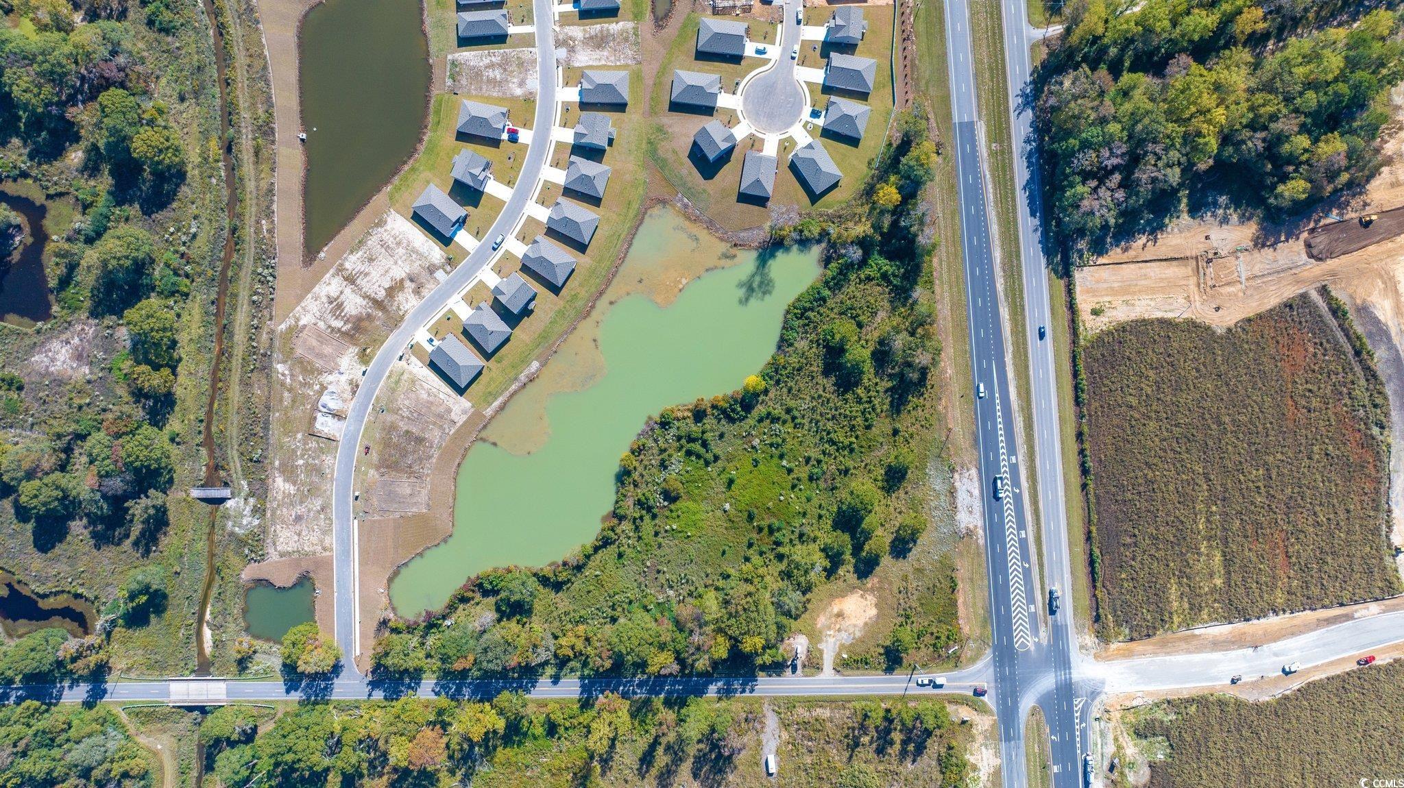 Camp Swamp Road Longs, SC 29568 - Photo 10 of 19