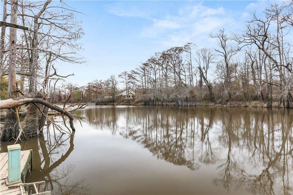 39817 Watters Road Ponchatoula, LA 70454 - Photo 20 of 21