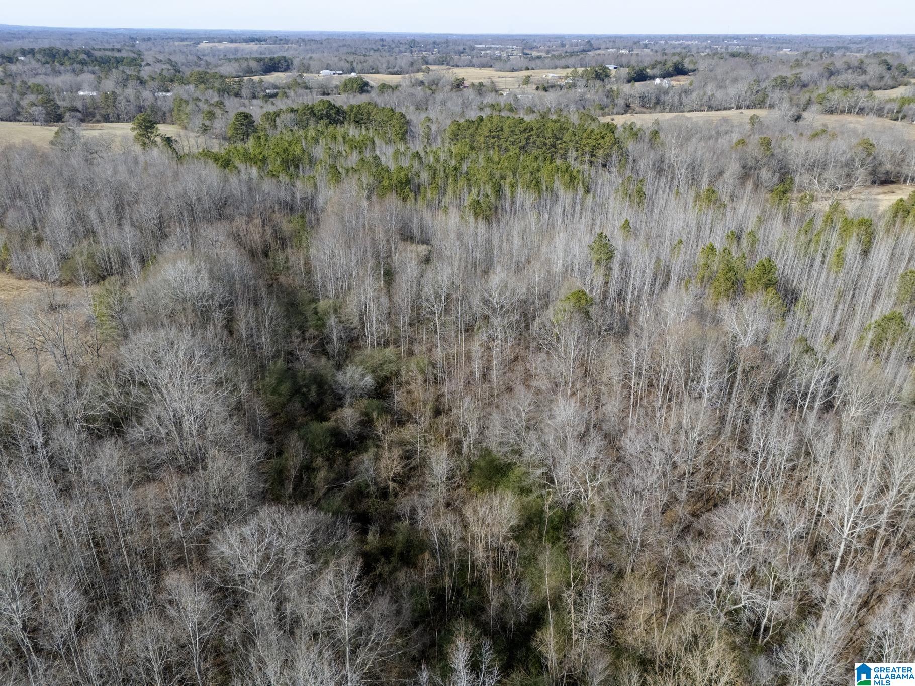 941 Hamm Road Blountsville, AL 35031 - Photo 62 of 67