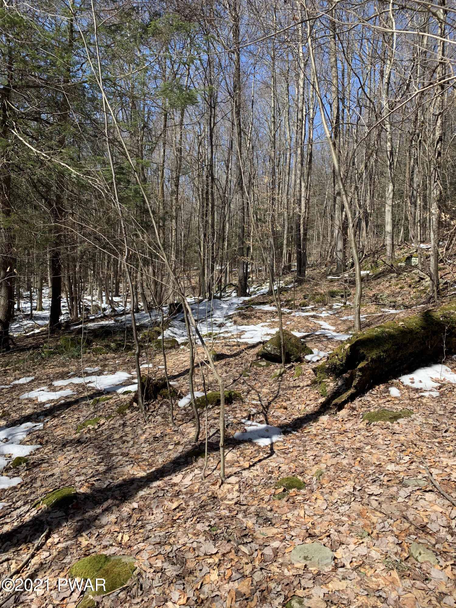 Deer Run Lane Waymart, PA 18472 - Photo 3 of 4