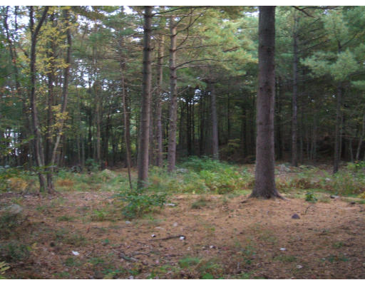 5 Overlook Road Canton, MA 02021 - Photo 14 of 21 Gallery Image 14
