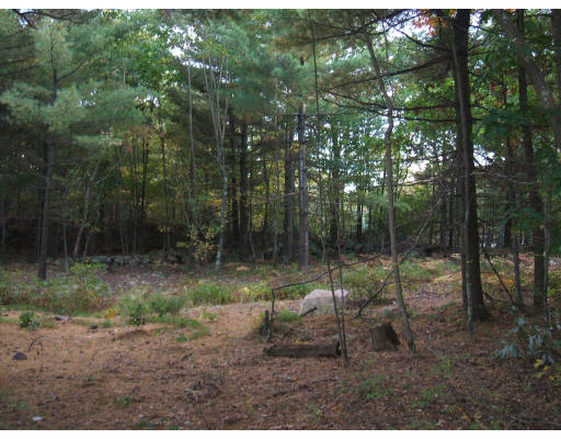 5 Overlook Road Canton, MA 02021 - Photo 15 of 21 Gallery Image 15