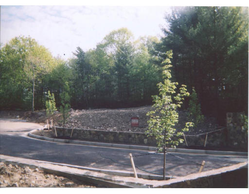 5 Overlook Road Canton, MA 02021 - Photo 7 of 21 Gallery Image 7