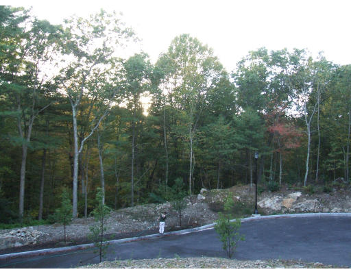 5 Overlook Road Canton, MA 02021 - Photo 9 of 21 Gallery Image 9
