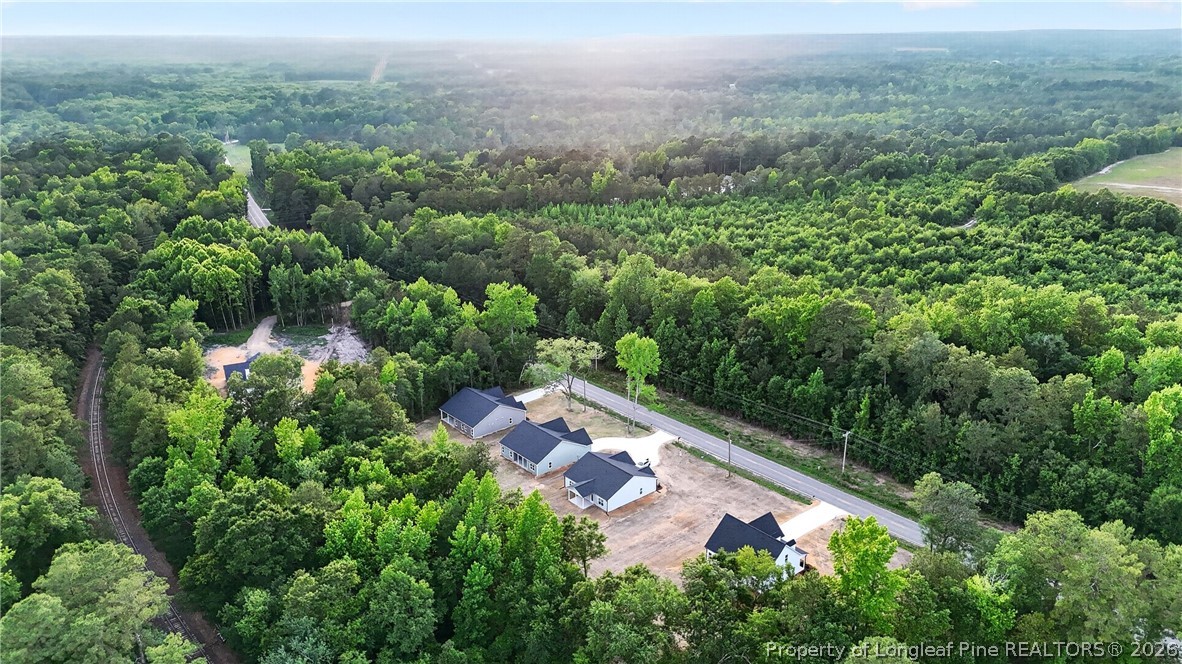 4936 Philippi Church Road Raeford, NC 28376 - Photo 46 of 50