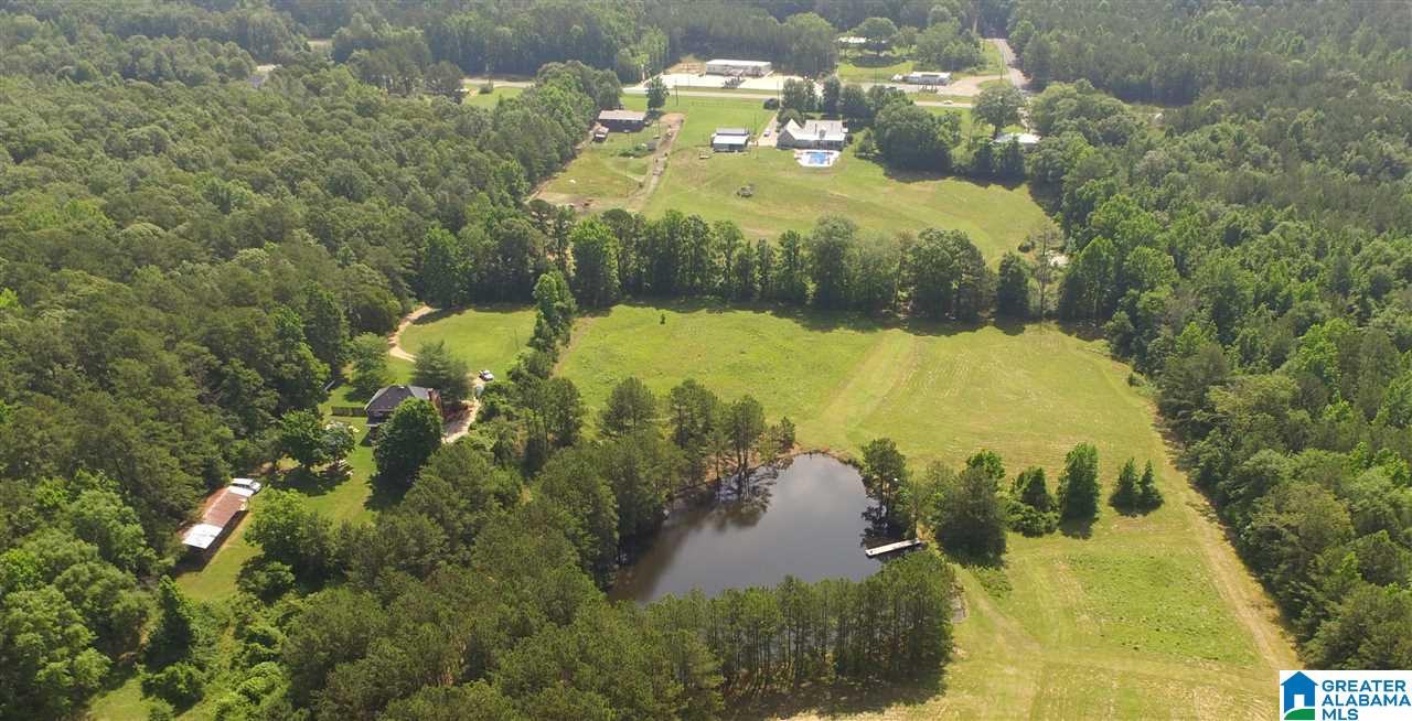 1201 Logan Martin Dam Road Vincent, AL 35178 - Photo 49 of 49