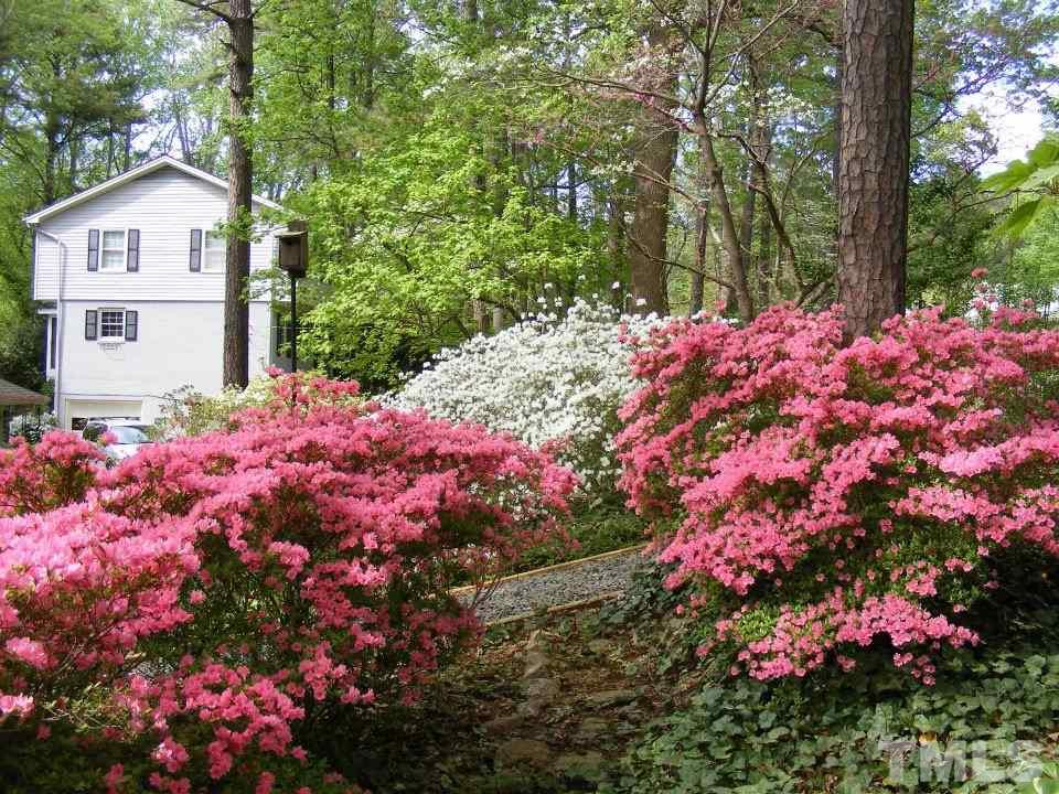 4605 Oak Park Road Raleigh, NC 27612 - Photo 3 of 25 Gallery Image 3