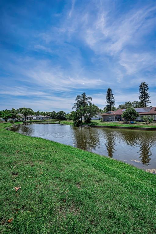 3835 Lighthouse Way New Port Richey, FL 34652 - Photo 6 of 78