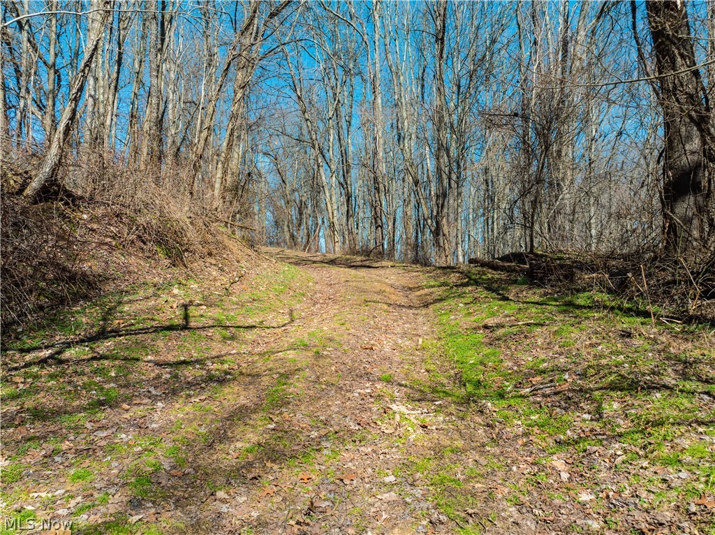 Burrier Road Jewett, OH 43986 - Photo 27 of 37