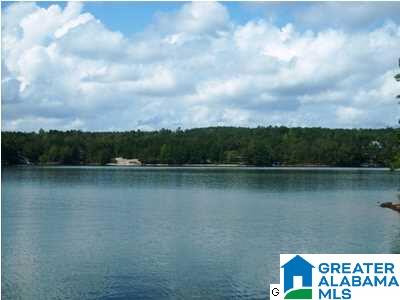 1292 County Road, Unit 1 45 Wedowee, AL 36278 - Photo 3 of 8