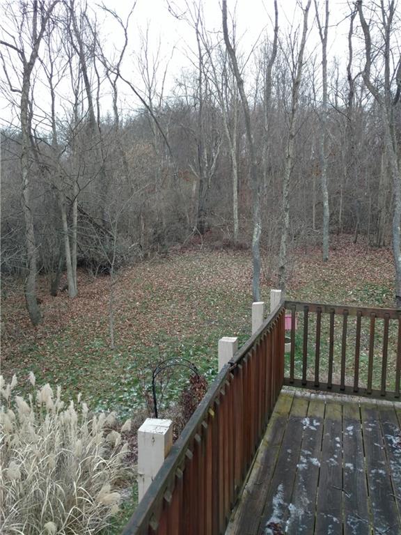 602 Brownlee Road Eighty Four, PA 15330 - Photo 24 of 25 View from Rear Deck Side Yard