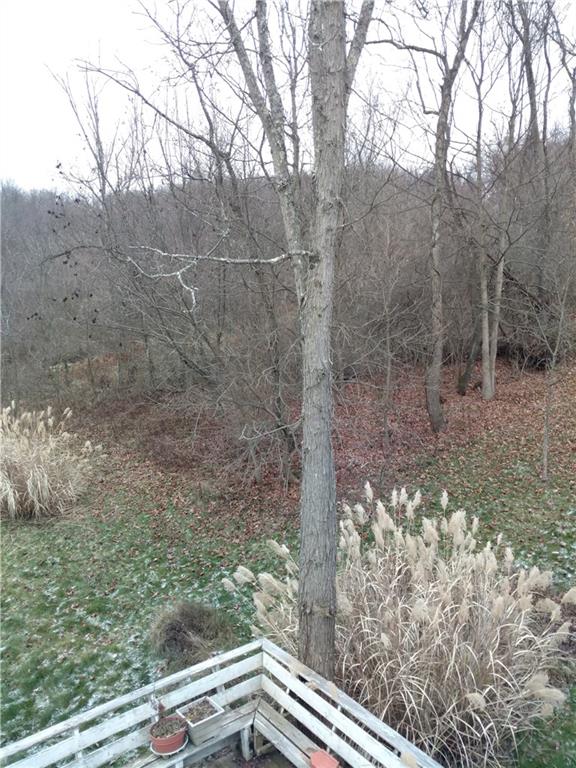 602 Brownlee Road Eighty Four, PA 15330 - Photo 25 of 25 Additional View from Rear Deck
