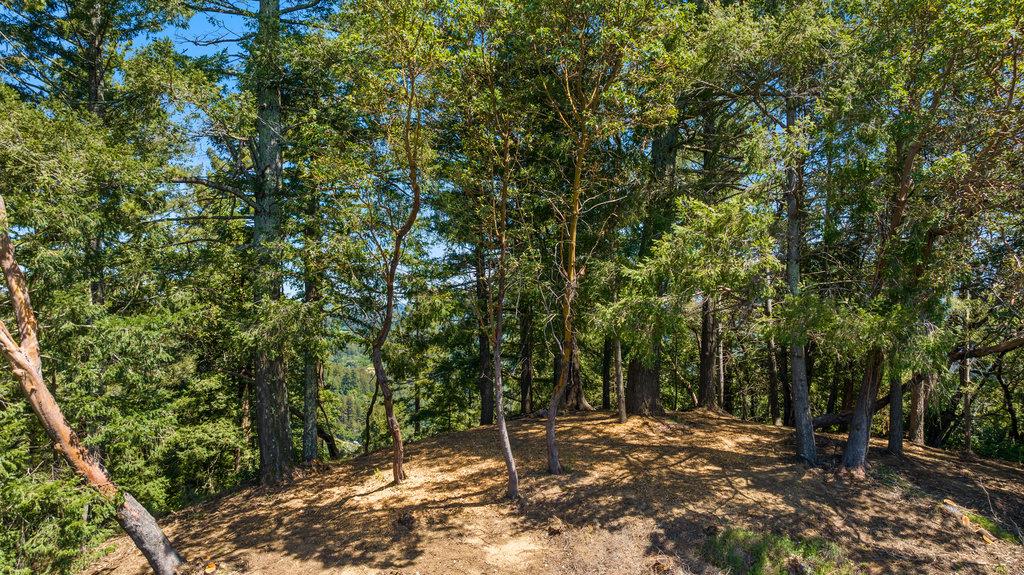 0 Quail Ridge Road Scotts Valley, CA 95066 - Photo 16 of 27 Gallery Image 16