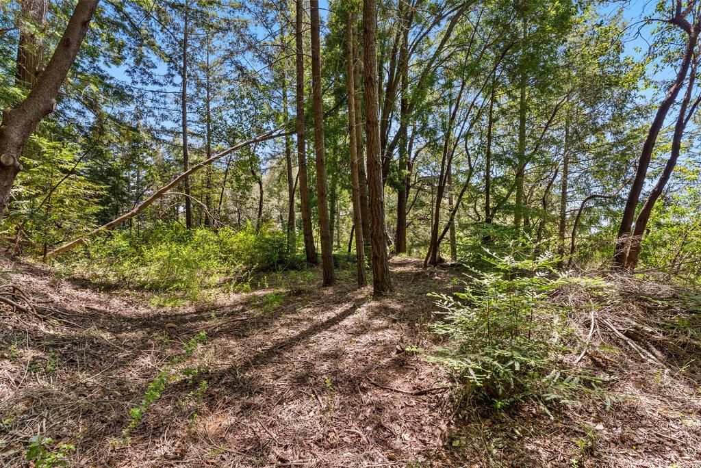 0 Quail Ridge Road Scotts Valley, CA 95066 - Photo 23 of 27 Gallery Image 23