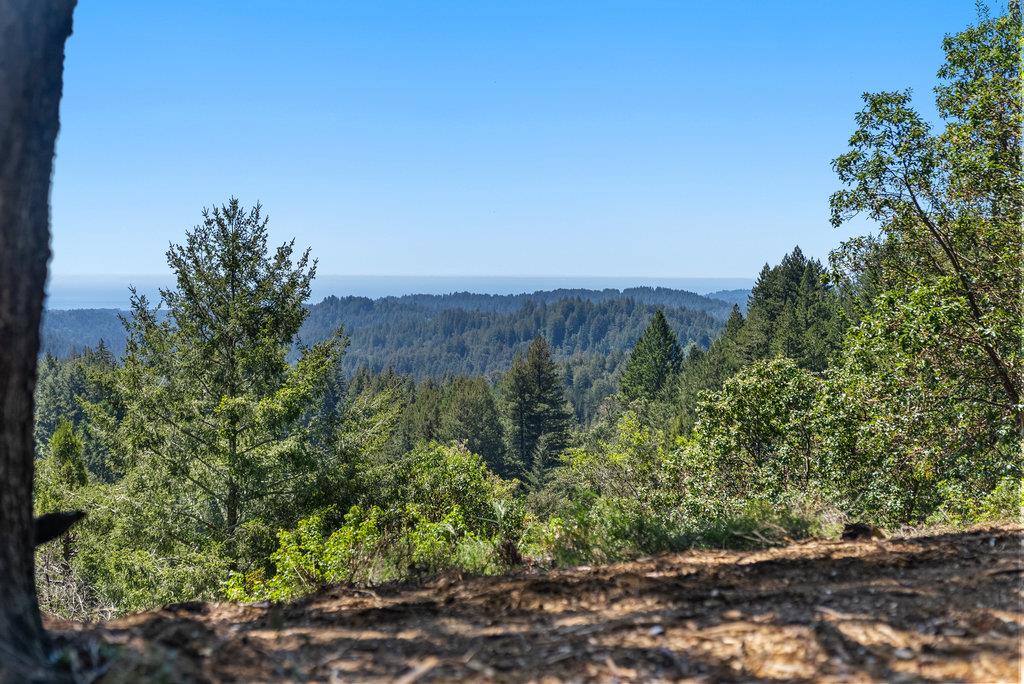 0 Quail Ridge Road Scotts Valley, CA 95066 - Photo 25 of 27 Gallery Image 25