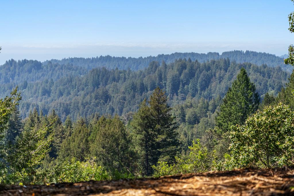0 Quail Ridge Road Scotts Valley, CA 95066 - Photo 3 of 27 Gallery Image 3