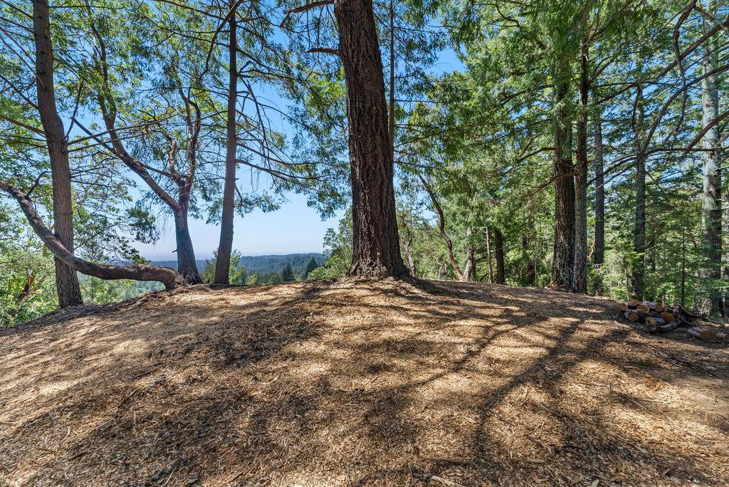 0 Quail Ridge Road Scotts Valley, CA 95066 - Photo 4 of 27 Gallery Image 4
