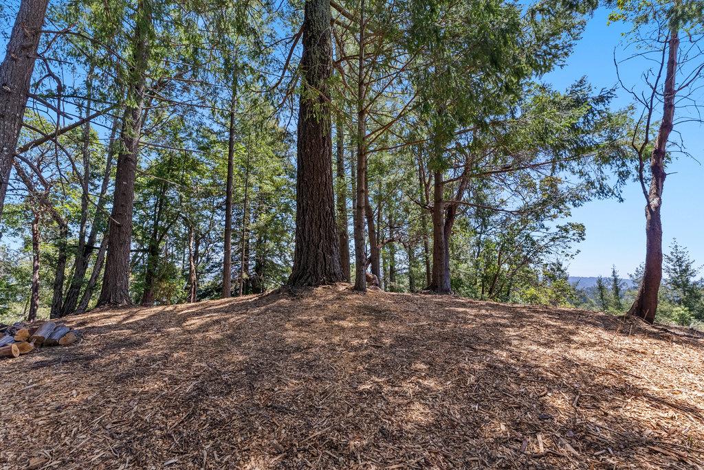 0 Quail Ridge Road Scotts Valley, CA 95066 - Photo 5 of 27 Gallery Image 5