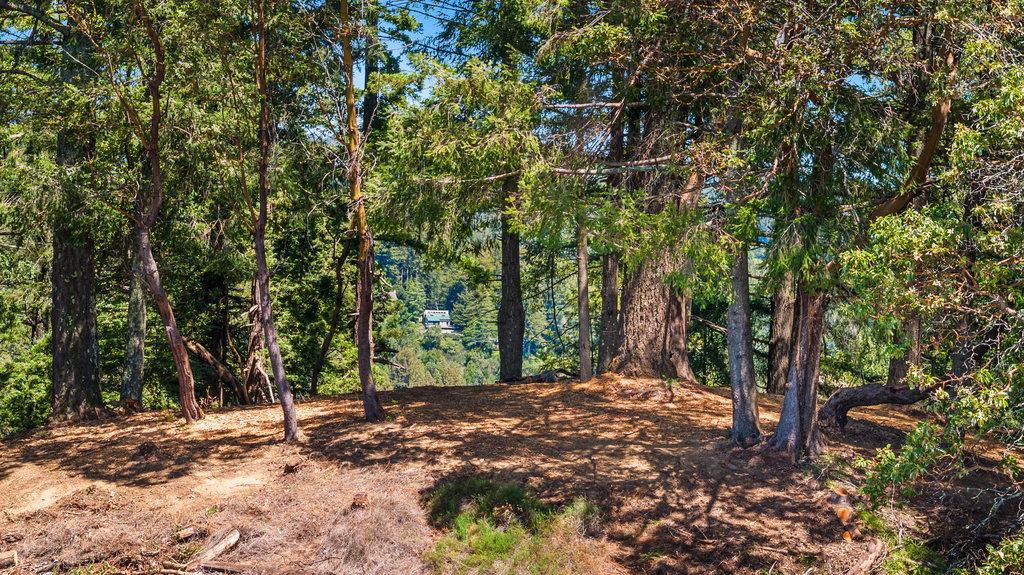 0 Quail Ridge Road Scotts Valley, CA 95066 - Photo 6 of 27 Gallery Image 6