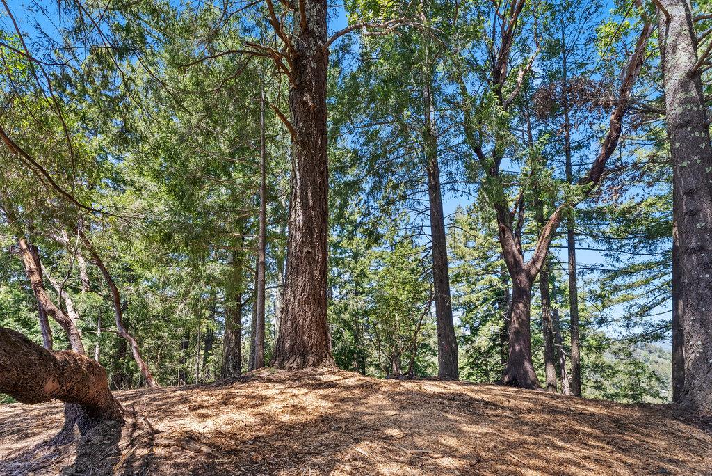 0 Quail Ridge Road Scotts Valley, CA 95066 - Photo 7 of 27 Gallery Image 7