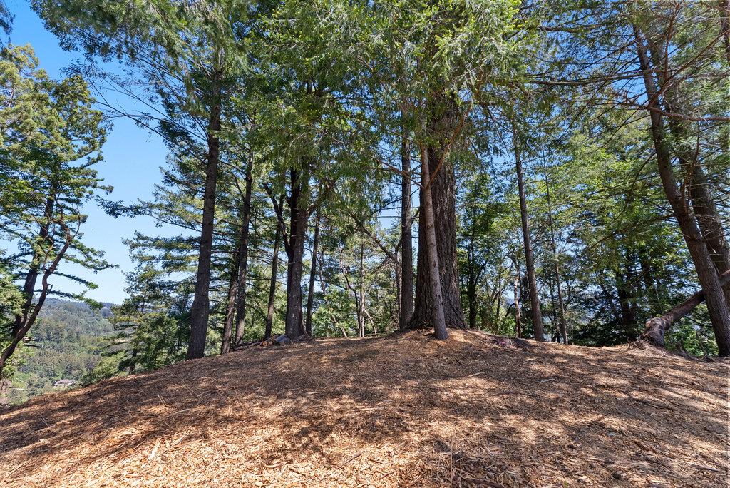 0 Quail Ridge Road Scotts Valley, CA 95066 - Photo 8 of 27 Gallery Image 8