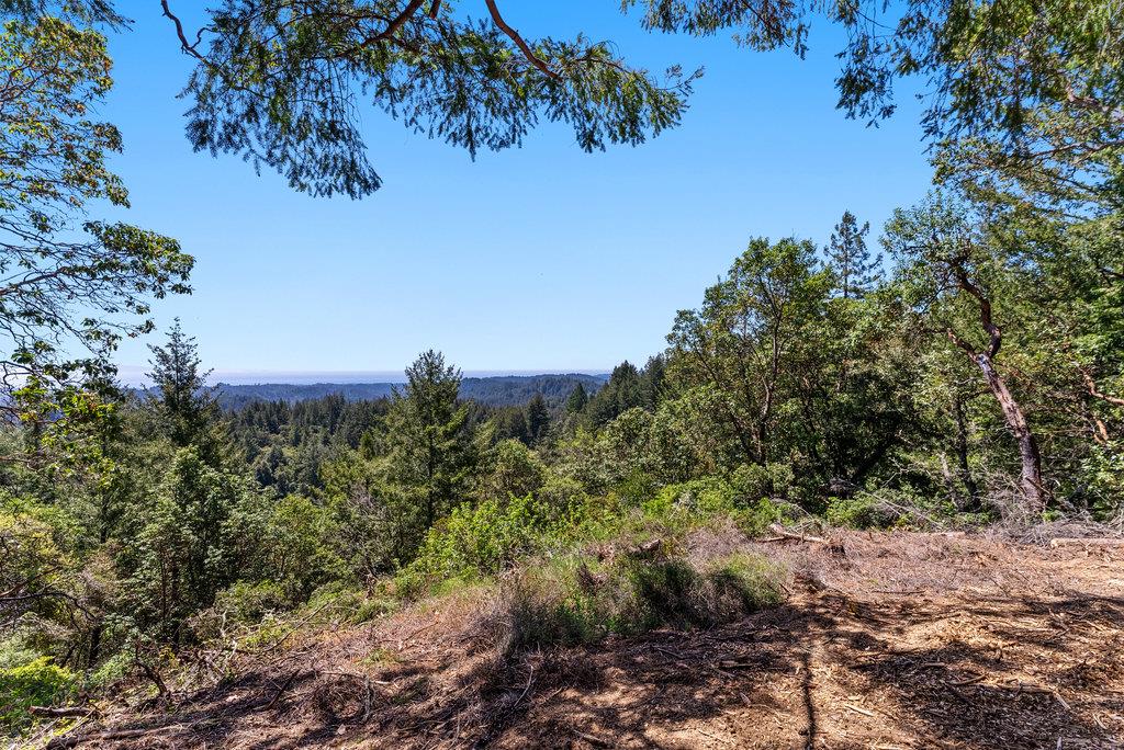 0 Quail Ridge Road Scotts Valley, CA 95066 - Photo 9 of 27 Gallery Image 9