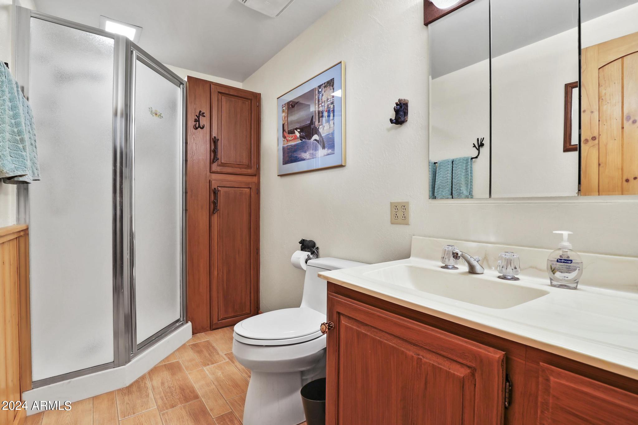 4678 Bear Flat Road Payson, AZ 85541 - Photo 45 of 76 Bathroom 3