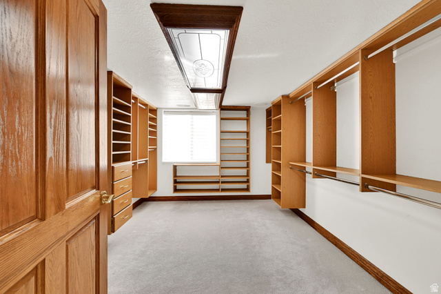 1085 Windsor Drive Provo, UT 84604 - Photo 33 of 83 Walk in closet featuring light carpet