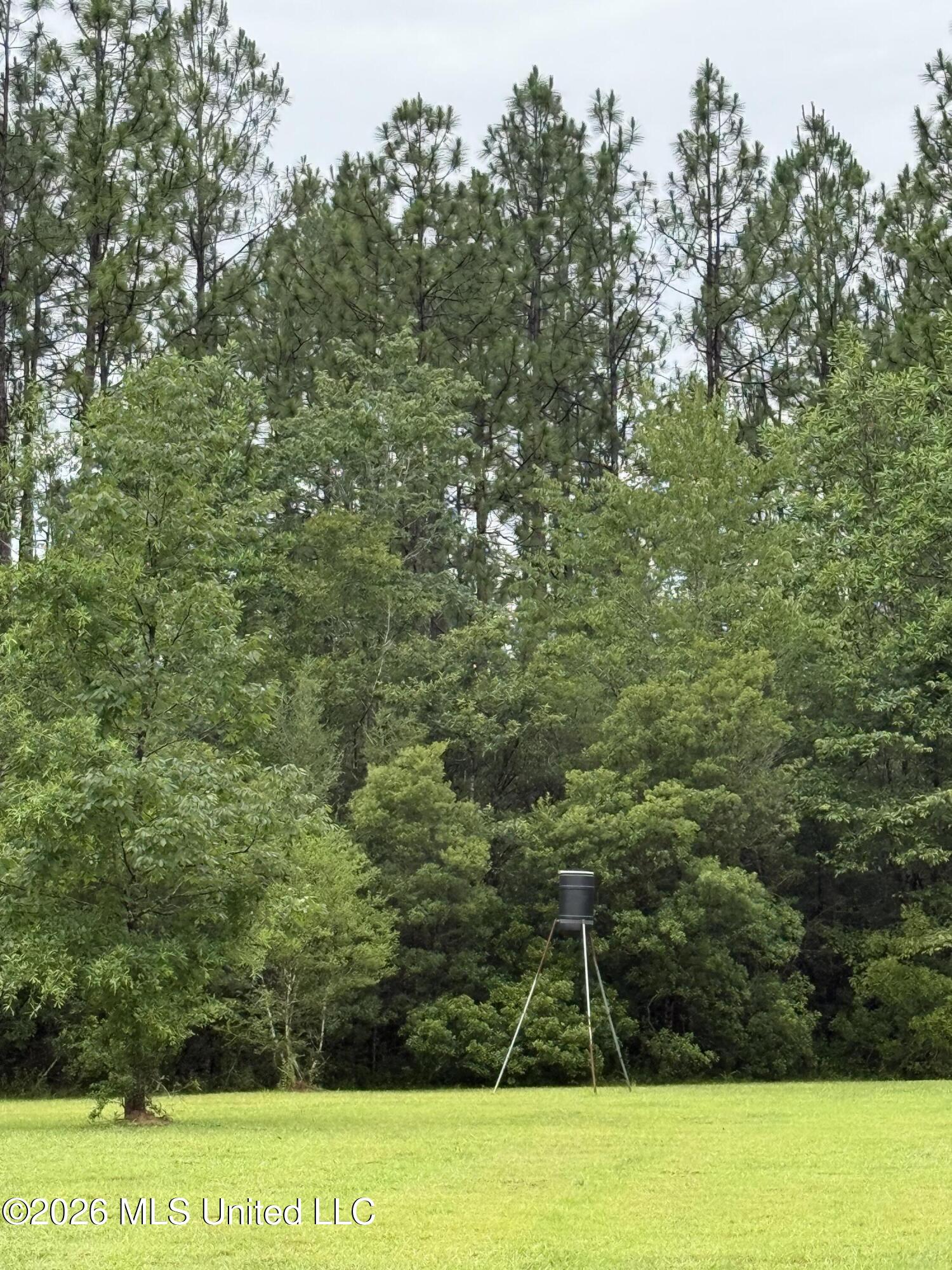 808 West McHenry Road McHenry, MS 39561 - Photo 28 of 32 Deer Feeder