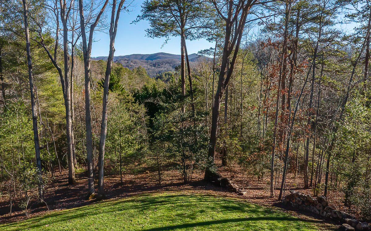 357 Hiawatha Trail Blue Ridge, GA 30513 - Photo 31 of 64 Additional View