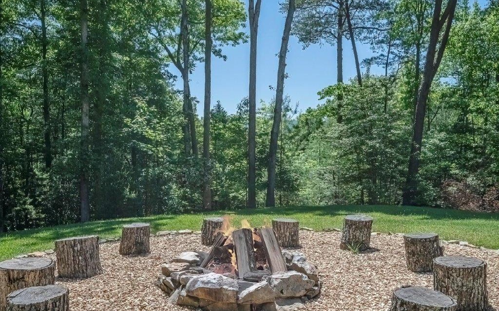 357 Hiawatha Trail Blue Ridge, GA 30513 - Photo 32 of 64 Additional View