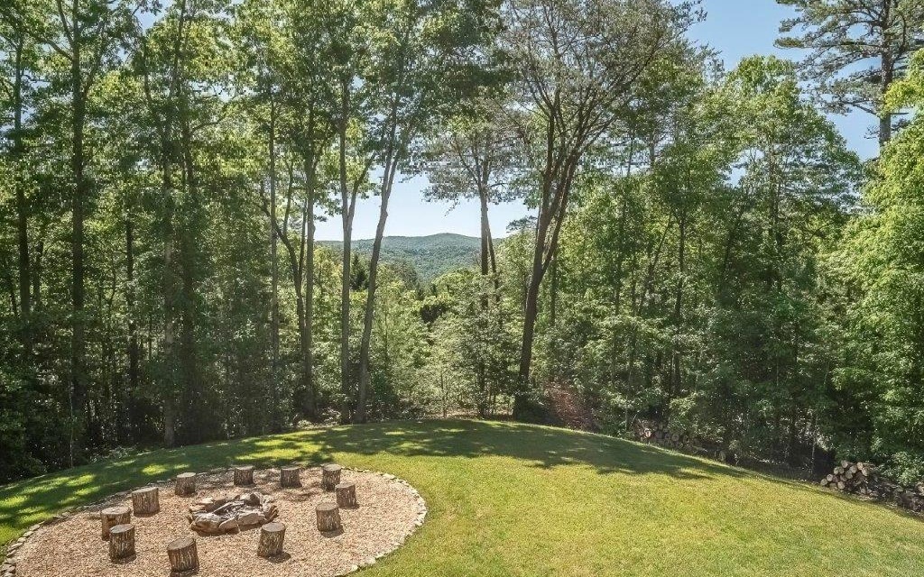 357 Hiawatha Trail Blue Ridge, GA 30513 - Photo 33 of 64 Additional View