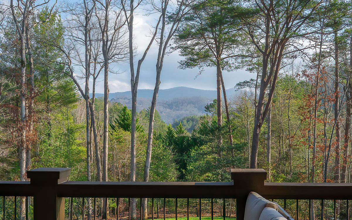 357 Hiawatha Trail Blue Ridge, GA 30513 - Photo 62 of 64 Additional View