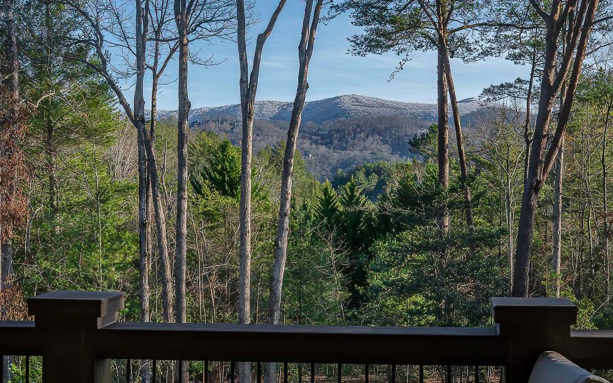 357 Hiawatha Trail Blue Ridge, GA 30513 - Photo 63 of 64 Additional View