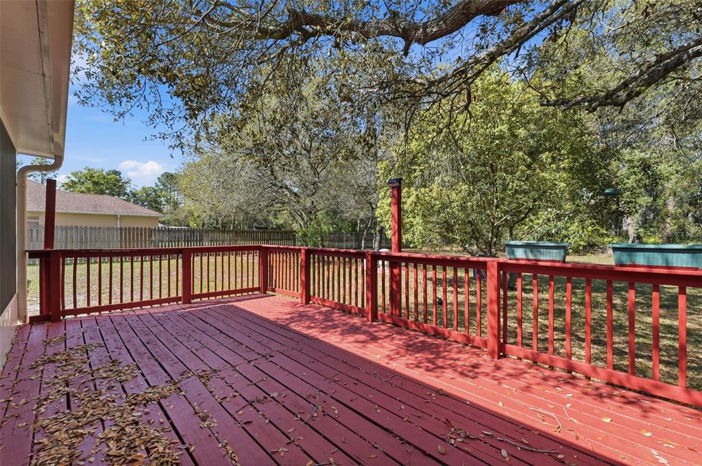 13039 Kittiwake Road Weeki Wachee, FL 34614 - Photo 26 of 55