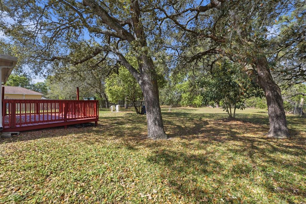 13039 Kittiwake Road Weeki Wachee, FL 34614 - Photo 28 of 55