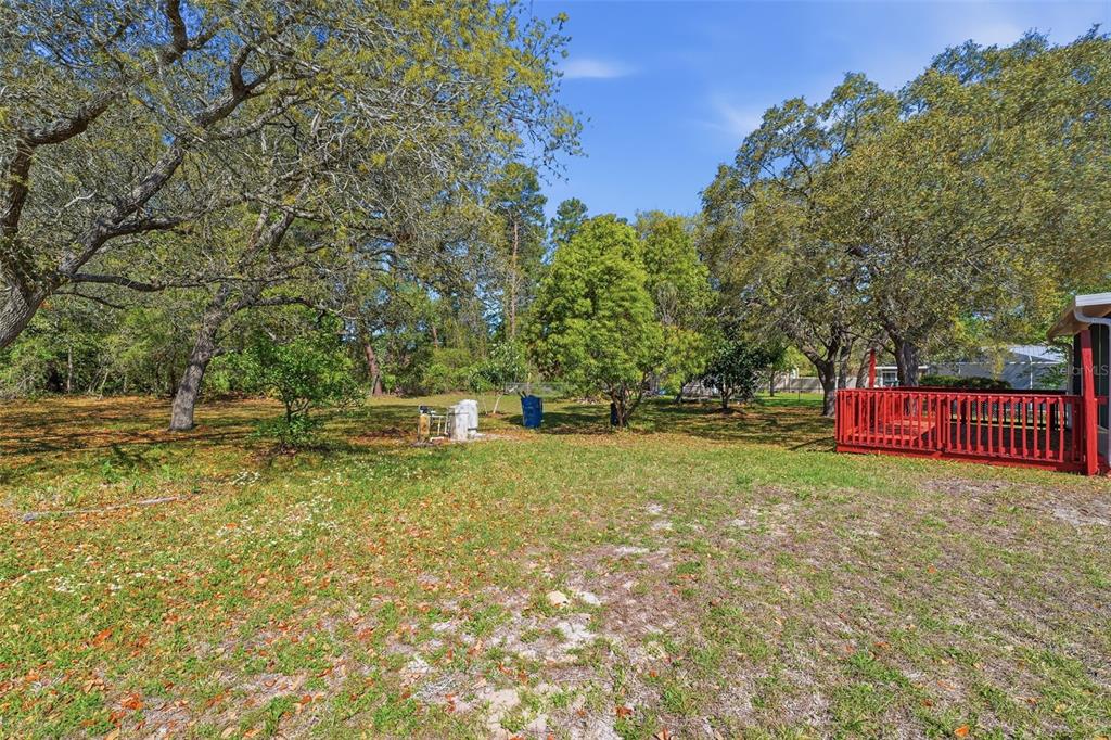 13039 Kittiwake Road Weeki Wachee, FL 34614 - Photo 31 of 55