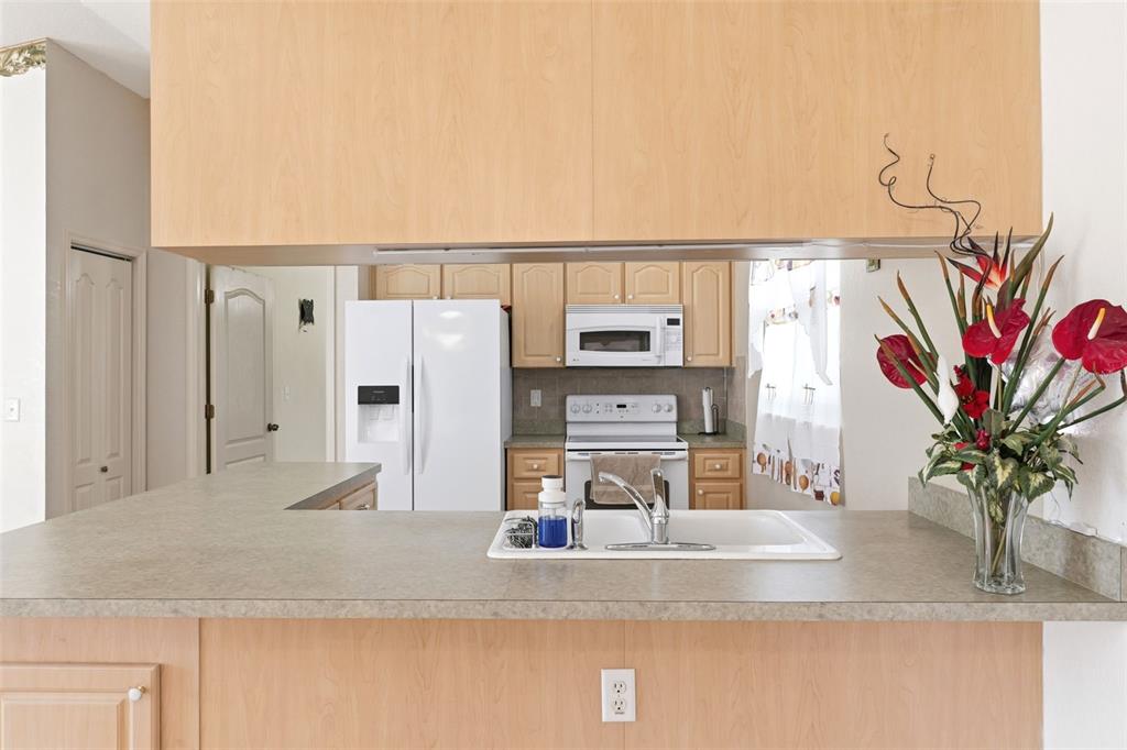 13039 Kittiwake Road Weeki Wachee, FL 34614 - Photo 52 of 55