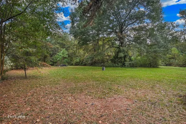 a view of a field with trees in background