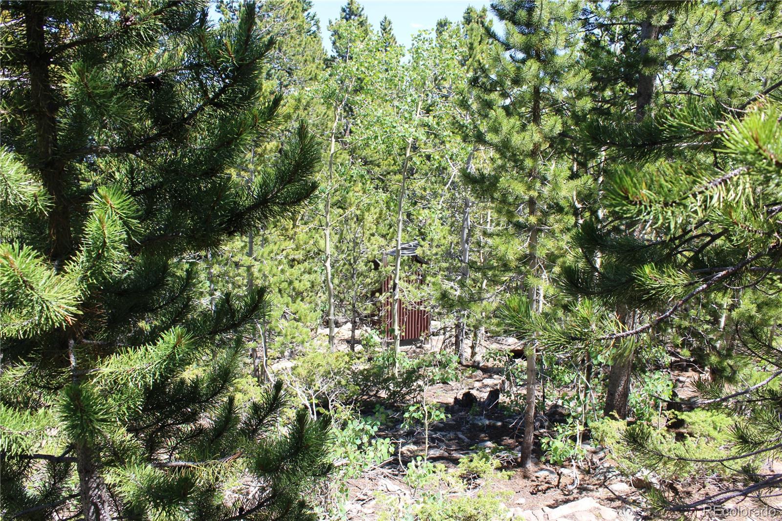 1595 Missouri Gulch Road Black Hawk, CO 80422 - Photo 10 of 49