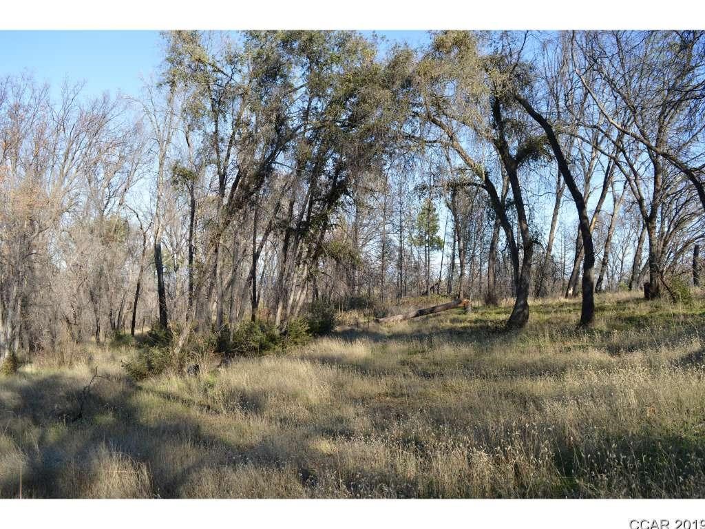 8326 Doster Road Mountain Ranch, CA 95246 - Photo 1 of 1 a view of outdoor space with trees
