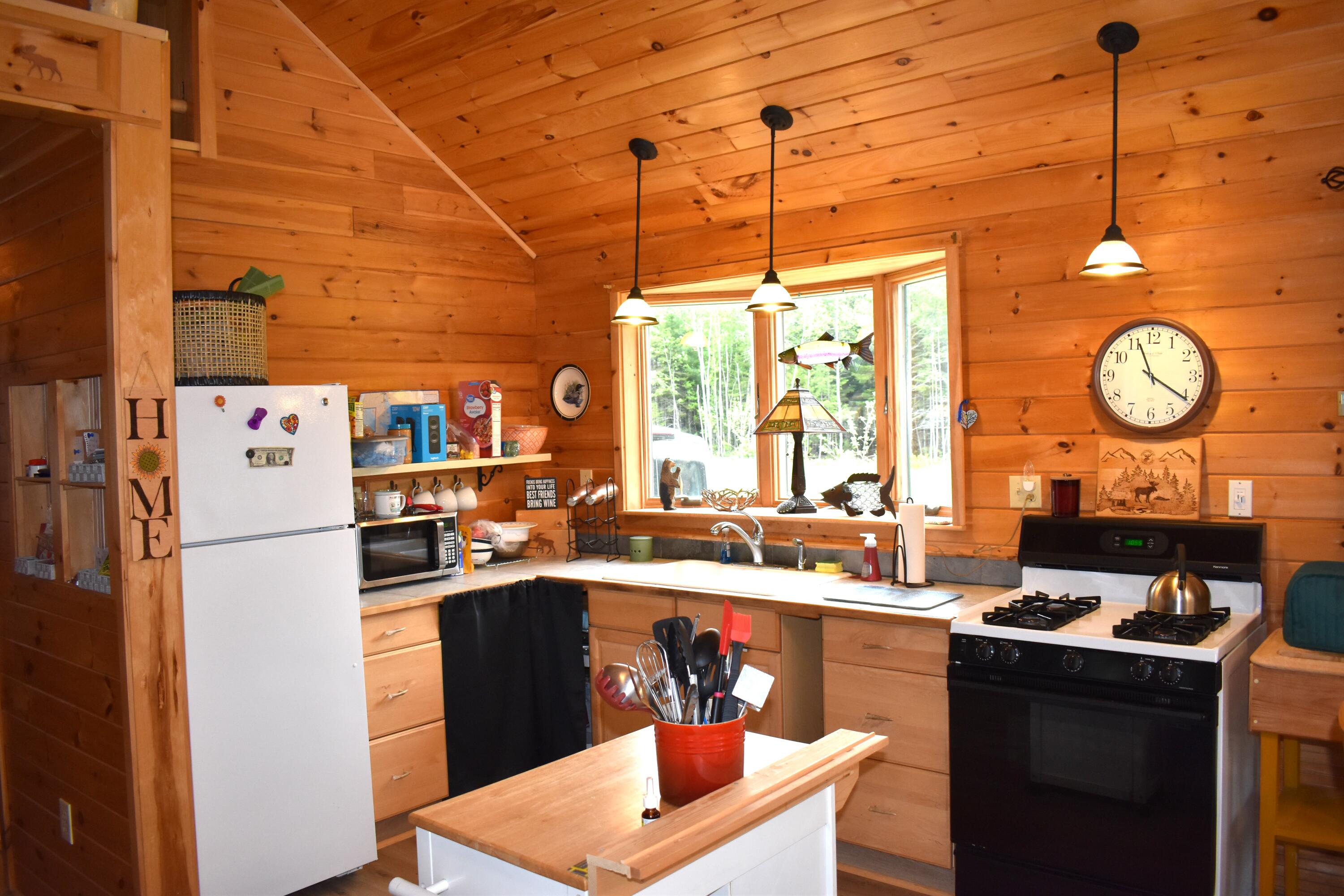 595 Long Point Road Lakeville, ME 04487 - Photo 10 of 47 DSC_0935