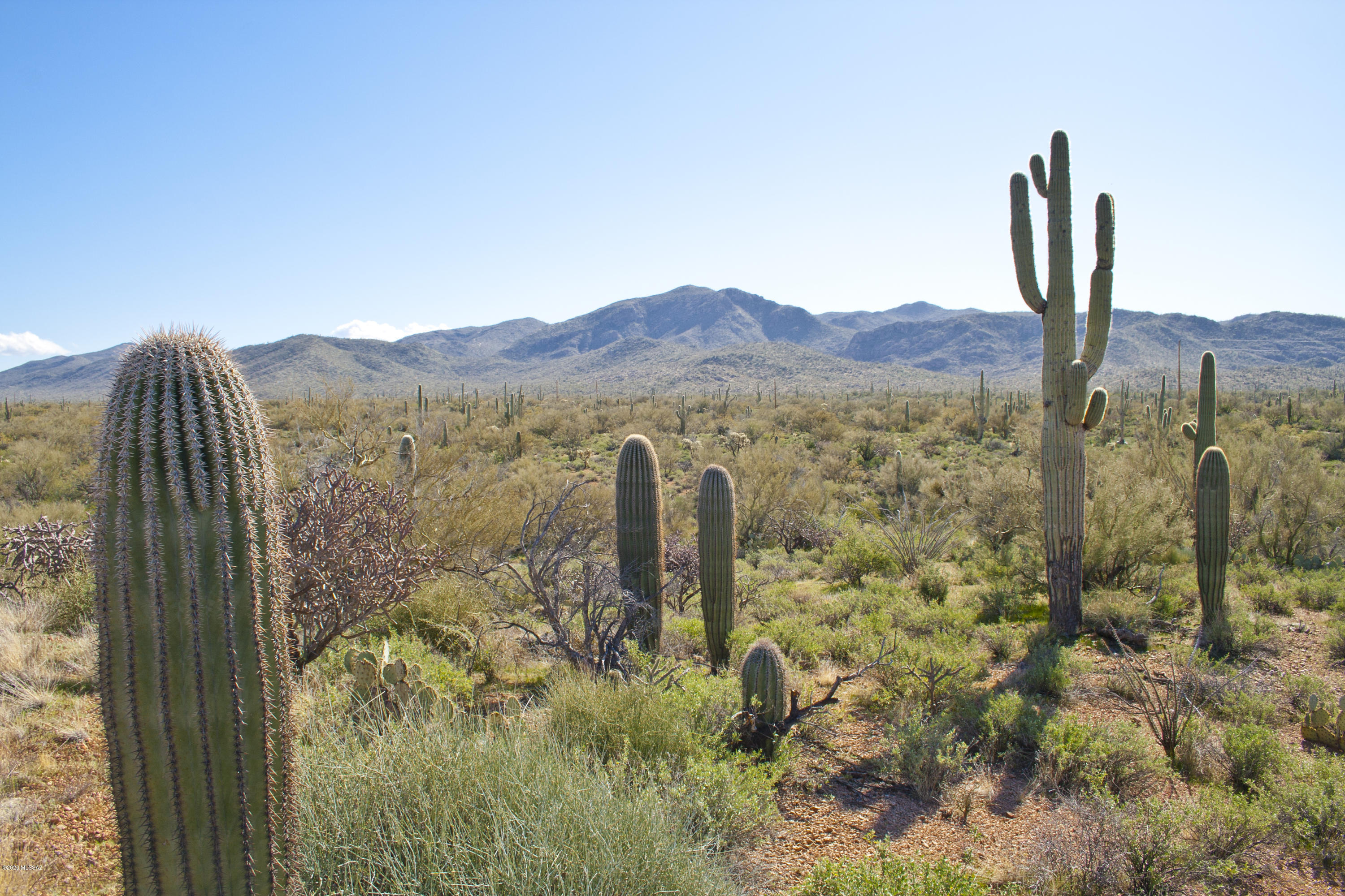0 South Eastview Road Marana, AZ 85658 - Photo 21 of 32 Gallery Image 21