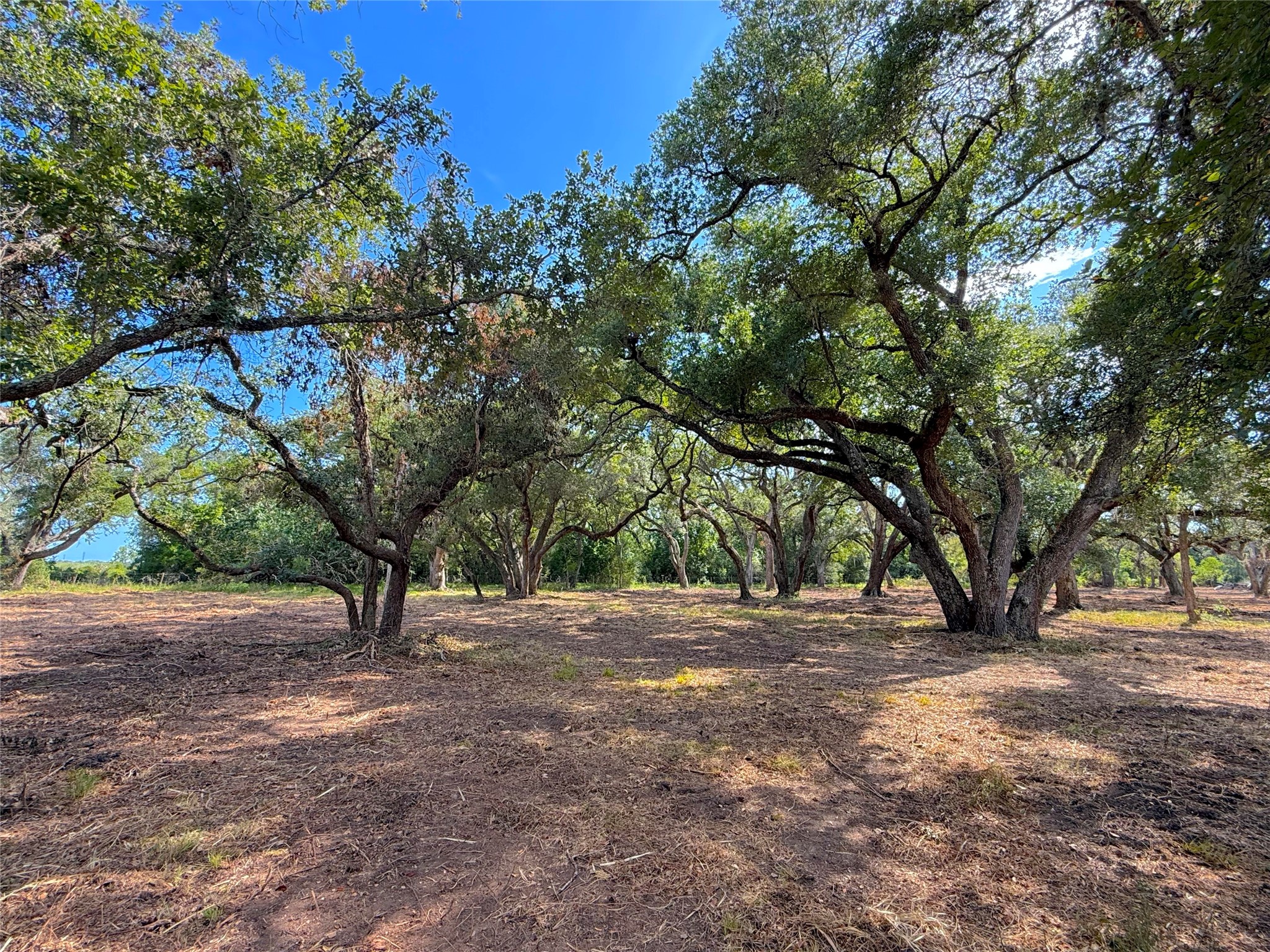 Lot 1 S. F. Austin Road Freeport, TX 77541 - Photo 5 of 9 Gallery Image 5
