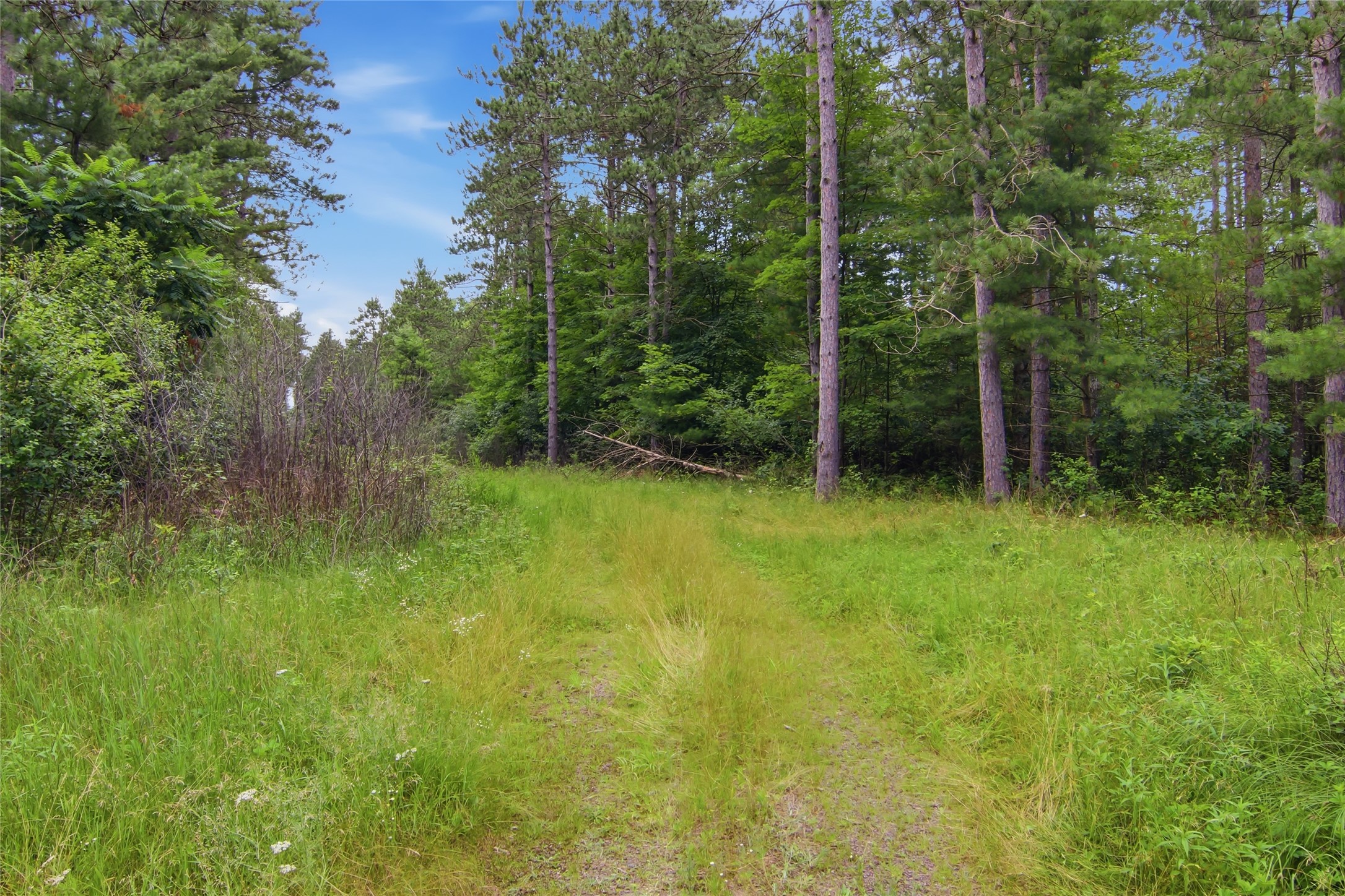 0 West Road Black River Falls, WI 54615 - Photo 43 of 43