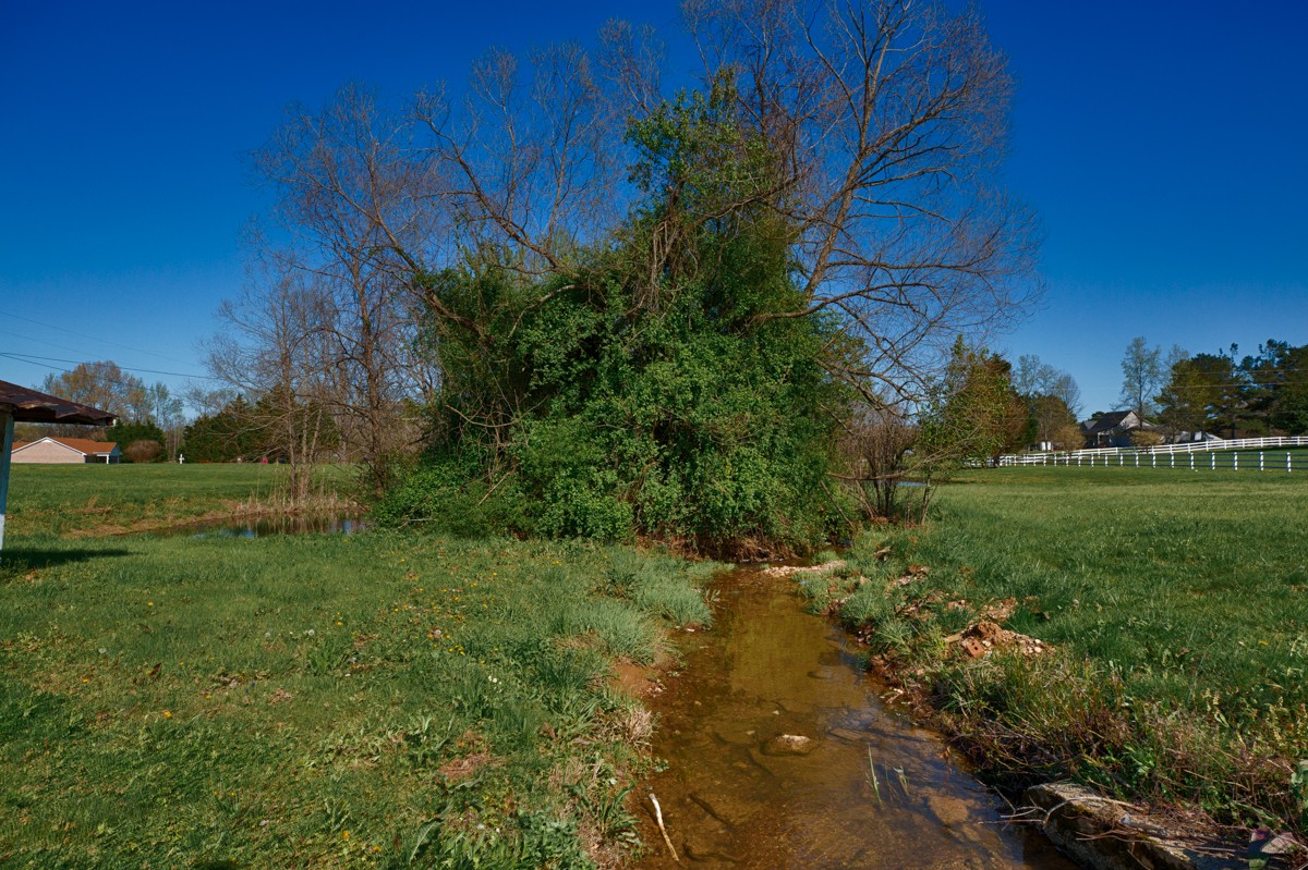28140 Mitchell Road Ardmore, AL 35739 - Photo 23 of 24 a view of a garden