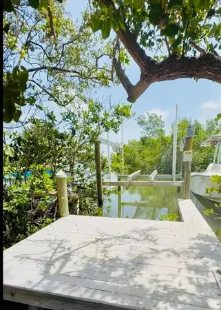 a view of a backyard of a house